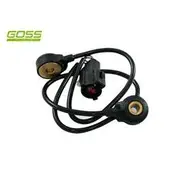 RAE Knock Sensor - K1584