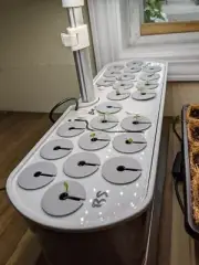 Aerogarden Seed Starter Tray Covers Keeps Algae Down Reusable - 25 Pack