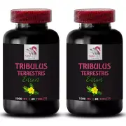 Premium Tribulus - TRIBULUS TERRESTRIS EXTRACT - Tribulus Terrestris organic 2Bo
