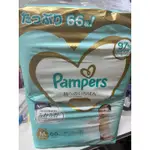 日本 PAMPERS 幫寶適一級幫褲型/拉拉褲M(66入)