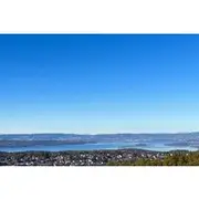Save 40.00%! Forest Hike Panoramic Fjord View Lead by a Local Guide and Dog