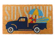 Sunshine Multicolour PVC Backed Coir Doormat - Entry Mat, Welcome Mat, Door mat, Non Slip, Anti Slip, Front Door, Waterproof, Durable