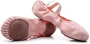 [Holibanna] Red Dance Shoes Stretch Canvas Ballet Shoes for Adults Tan Comfortable for Women Size 44