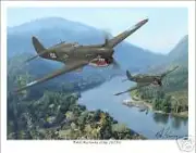P-40 "Warhawk" 23rd FG Flying Tigers Aviation Art Print - Size 11" x 14"