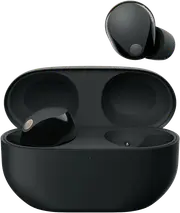 Sony Premium Noise Cancelling Earbuds