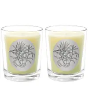 Qualitas Candles Ginger Glass Two Scented Beeswax Candle Set