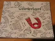 WINTER WONDERLAND ADULT COLORING BOOK 10 X 10 INCH PAGES BENDON 2016