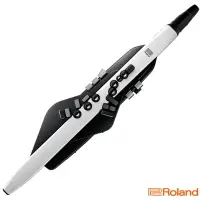 在飛比找松果購物優惠-零卡分期 Roland AE-20 Aerophone 電子