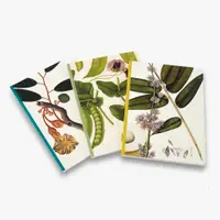 在飛比找蝦皮購物優惠-Remarkable Plants: Set of 3 A5