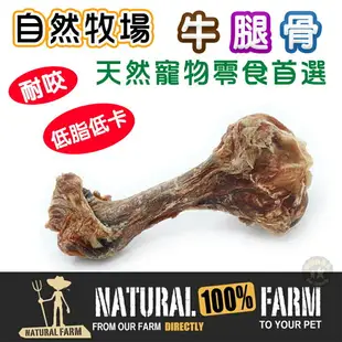 紐西蘭Natural Farm自然牧場【天然牛腿骨】寵物零食 天然耐咬 低熱量 狗狗零食 犬用零食 寵物點心 狗狗點心