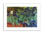 VINCENT VAN GOGH IRISES Poster Painting Old Master Canvas art Prints