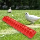 Bird Feeder Poultry Ground Feeder Pheasant Feeding Bucket Chicken Feed Trough