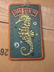 Billy Strings Luggage Tag Tampa FL 2024 Ryan LE 200 Not Poster Carolyn Lee Akin