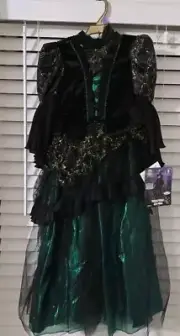 Rubies Kids Wizard of Oz Wicked Witch Costume, with Dress, Hat, Cape, & Broom