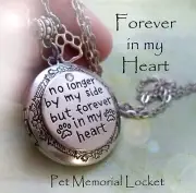 Pet Memorial Locket * No longer by my side but forever in my Heart, dog cat love