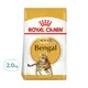 ROYAL CANIN 法國皇家 皇家FBN 豹成貓乾飼料 BG40