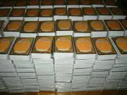 Bulk Lot 200 COMMON Magic The Gathering Cards TCG All Genuine