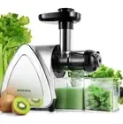 Portable Hand Juicer Machine with Reverse Function, Cold press, Silver