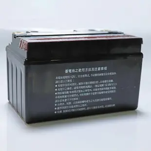 【湯淺】TTZ10S AGM密閉型機車電池10號(同 GS統力 GTZ10S)