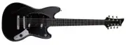 SCHECTER: Electric Guitar PA LY/YK