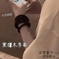 在飛比找蝦皮購物優惠-黑檀木手串108顆6/8mm念珠男女新中式國風手串情侶禮物古