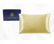 One Piece 100% Pure Two-Side Silk Mulberry Pillowcase Champagne