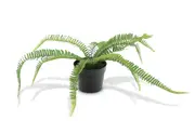 FAUX FERN Artificial Plant in Plastic Pot