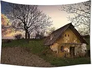 Rustic Home Decor Tapestry Battered Stone House in Field Messy Shed Building Provincial Pastoral Concept Wall Hanging for Bedroom Living Room Dorm Multi