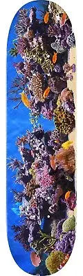 Mini Logo Fish Tank Skateboard Deck - 7.75" x 31.08"