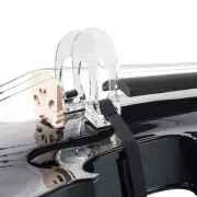 Violin Bow Corrector Collimator Straightener