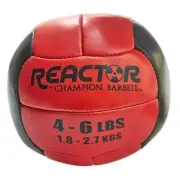 Reactor Medicine WALL BALL Weighted Gym Core Workout Strength Trainer PICK SIZE