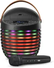 Karaoke System for Adults & Kids with Wireless Microphone, Singcast One - Karaok