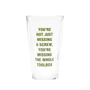 Say What - Pint Glass: Missing A Screw - Glass - Novelty Drinkware