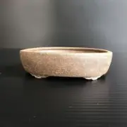 Japanese Bonsai Pot YOKOTA SHUHO Oval Shape W12.8cm H3.5cm Unglazed