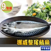 在飛比找Yahoo奇摩購物中心優惠-【享吃海鮮】挪威整尾鯖魚9包(350g±10%/尾)