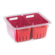 Oggi StoreFresh 22cm Double Fruit Berry Bin Storage Basket Fridge Organiser Red