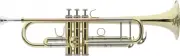 Bb trumpet, ML-bore, leadpipe in gold brass, with soft case
