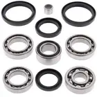 All Balls Rear Diff Bearing & Seal Kit For 2007-2008 Arctic Cat Prowler 650