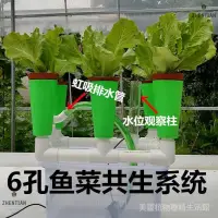 在飛比找蝦皮購物優惠-🎆🎆🎆👚六孔魚菜共生設備 無土栽培過濾系統 陽臺種菜箱親子教