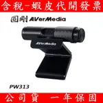 全新公司貨 圓剛 PW313 網路攝影機 視訊鏡頭 1080P30 網路視訊鏡頭 視訊會議 直播 高畫質網路攝影機