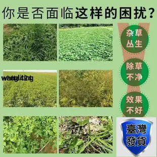 @爆火@精草銨膦銨鹽 果園荒地行間除草劑 牛筋草 園林除草 新舊包裝隨機出貨