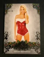 2019 Benchwarmer ASHLEY MATTINGLY Holiday #15 Silver Foil Variant/10 PLAYBOY Hot