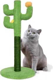 Kitten Cat Scratch Post - 25'' Cactus Scratching Posts with Sisal Cats Claw Scra