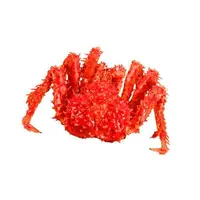 在飛比找蝦皮購物優惠-【萬象極品】帝王蟹/約2.5kg以上/隻 蟹肉鮮甜滋味讓人吮