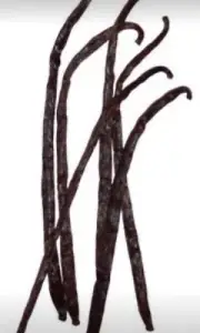 VANILLA KOSHER ORGANIC Beans Madagascar Vanilla Beans 8 oz Grade A 1st Quality