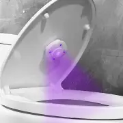 Portable Mini USB Charging Ultraviolet UVC Toilet Sterilization Lamp Household Disinfection Device Toothbrush Disinfecti