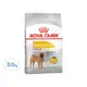 ROYAL CANIN 法國皇家 CCN 皮膚保健中型成犬 DMM