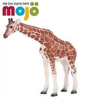 在飛比找PChome24h購物優惠-Mojo Fun動物模型-長頸鹿(母) 2021