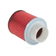Ryco Air Filter - A1246