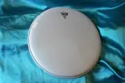 Remo Weatherking 11" Banjo Head, Medium Collar, Coated, BJ-1100-M1-EN